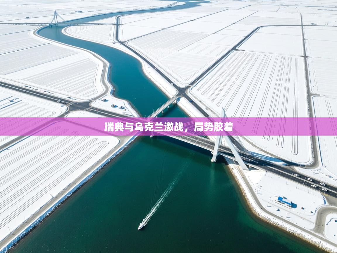 瑞典与乌克兰激战，局势胶着  第1张