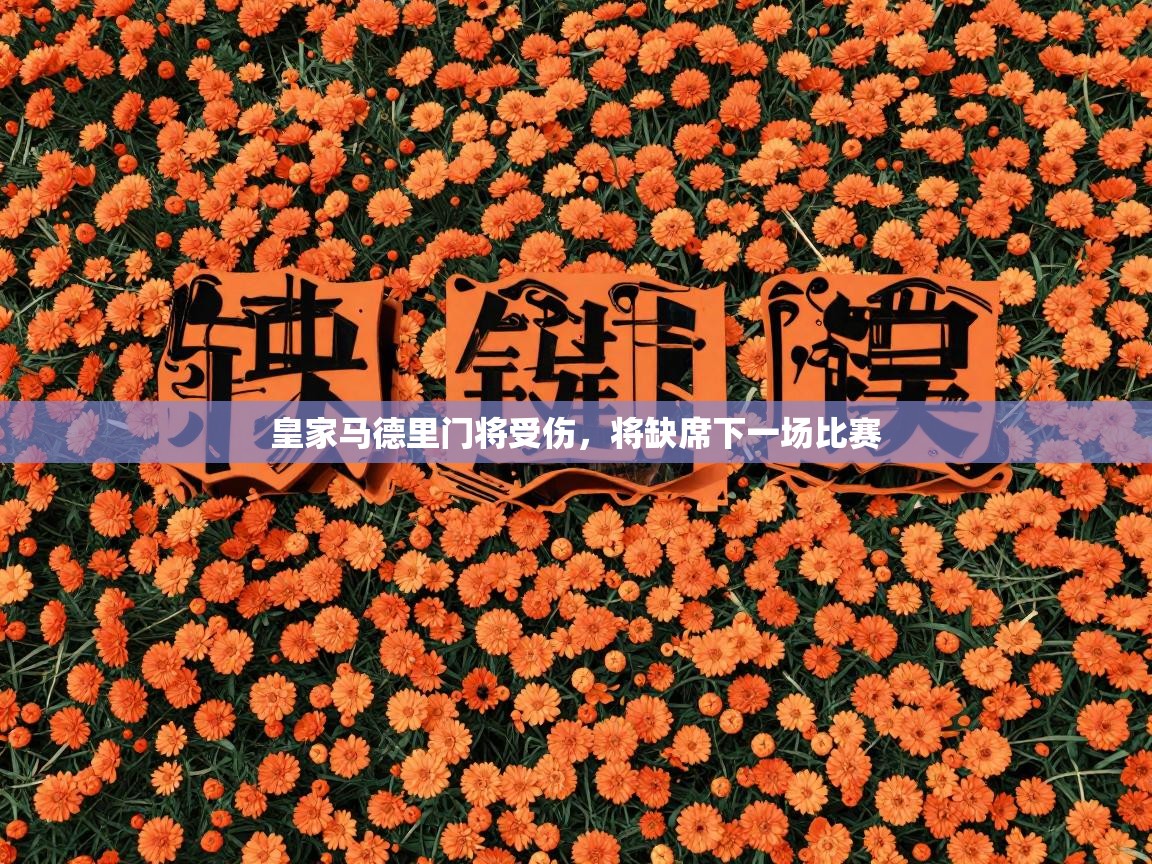 皇家马德里门将受伤，将缺席下一场比赛  第2张