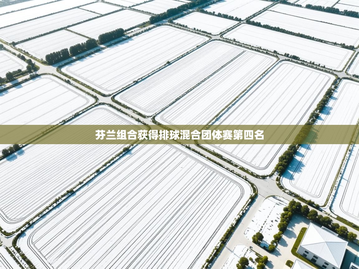 芬兰组合获得排球混合团体赛第四名  第1张