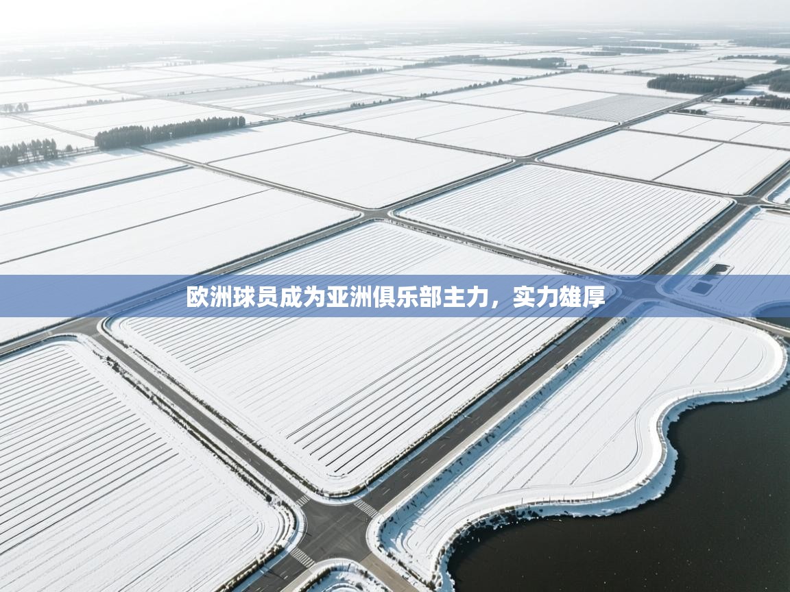 欧洲球员成为亚洲俱乐部主力，实力雄厚